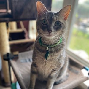 Meet your Posher, James